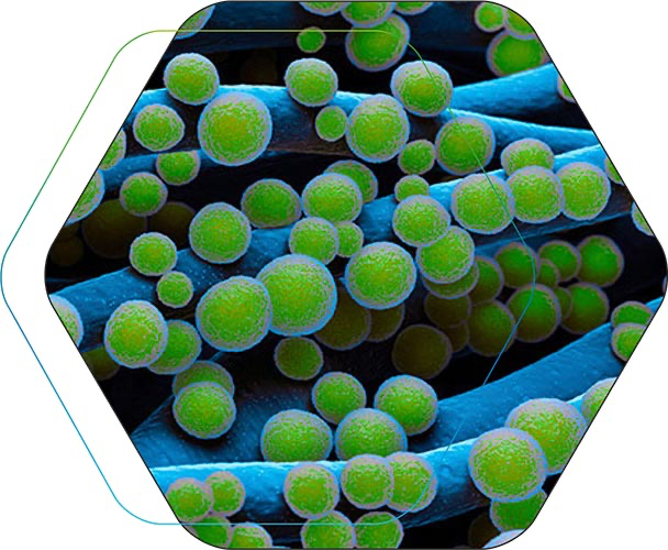 devan micro incapsulation